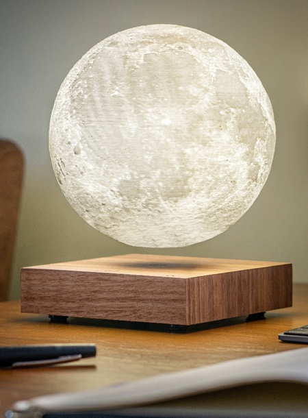 Gingko Floating Moon Lamp