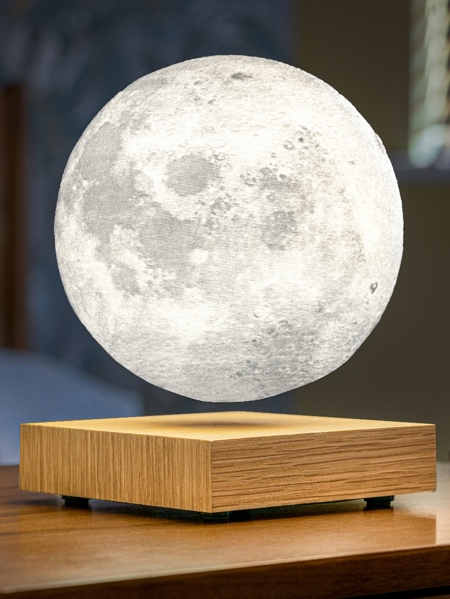 Gingko Moon Lamp