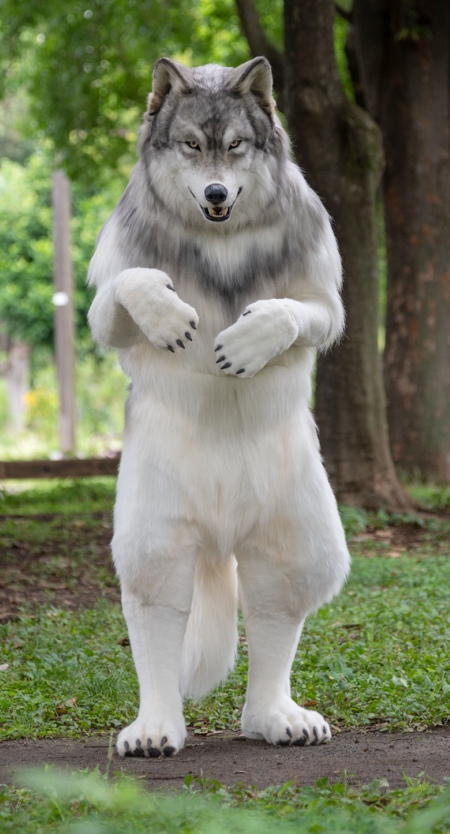 Realistic Human Wolf Costume Suit