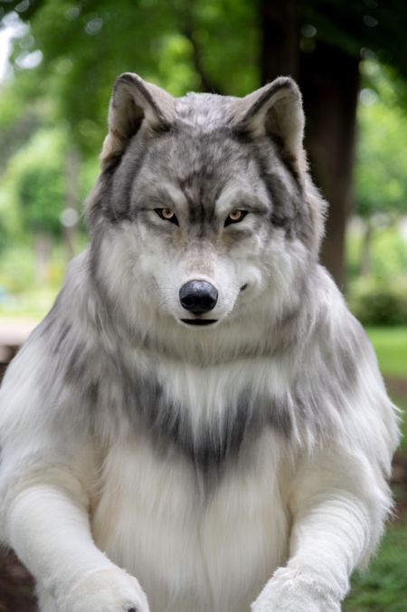 Realistic Human Wolf Costume