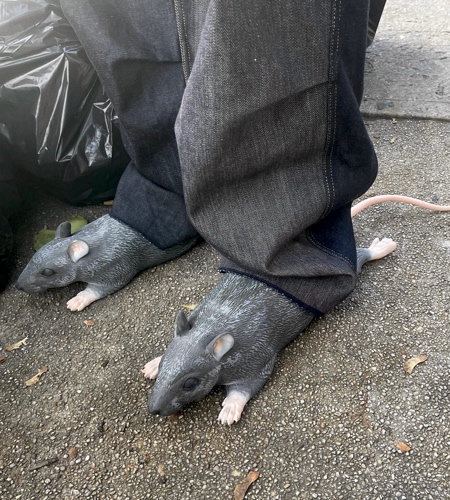 Rat Shoes