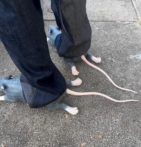 Rat Shaped Shoes