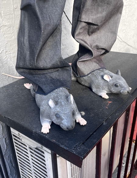 Rats Shoes