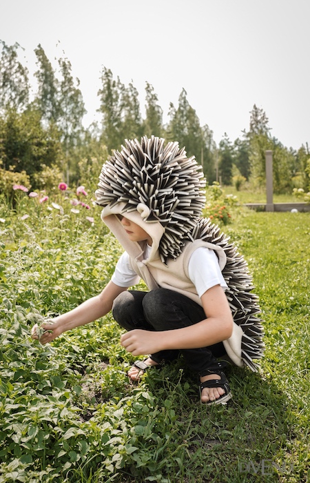 Hedgehog Costume