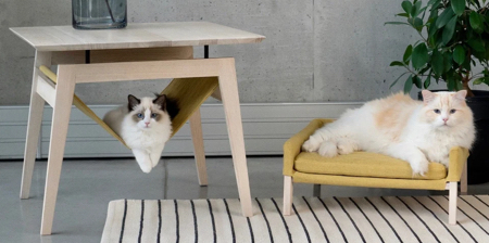 Coffee Table Cat Bed