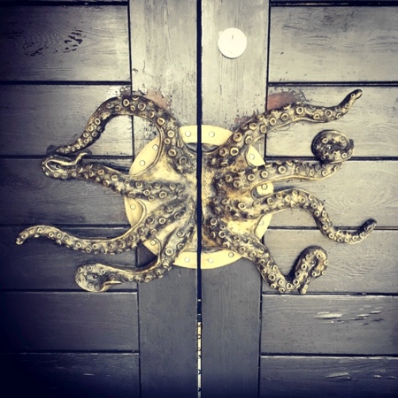 Octopus Door Handle