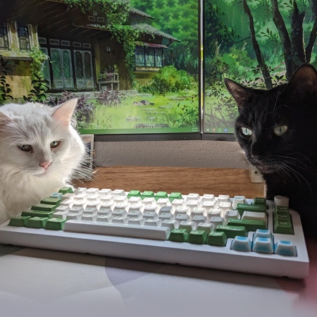 Computer Keyboard made of Ceramic