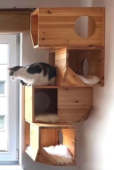 Modular Cat Houses
