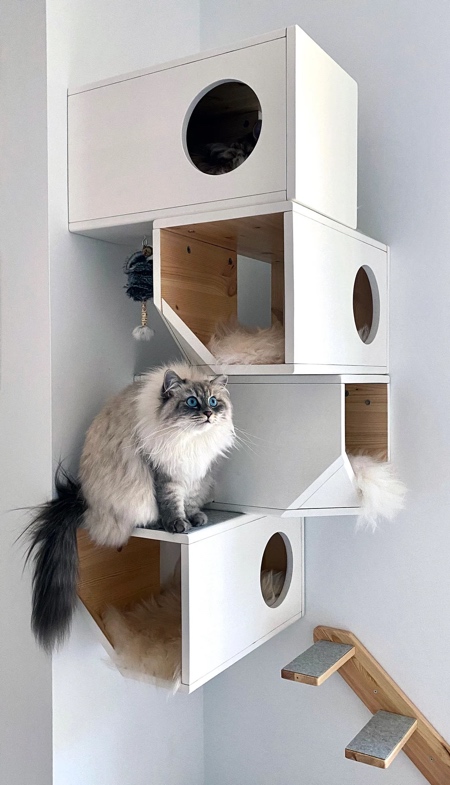 Modular Cat Furniture
