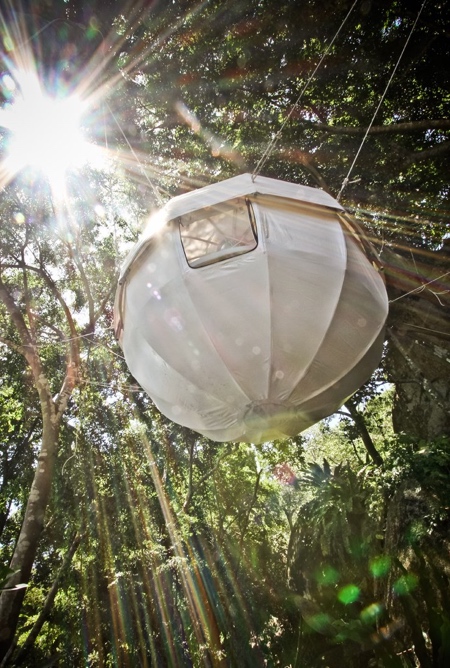 Dome Tree Houses