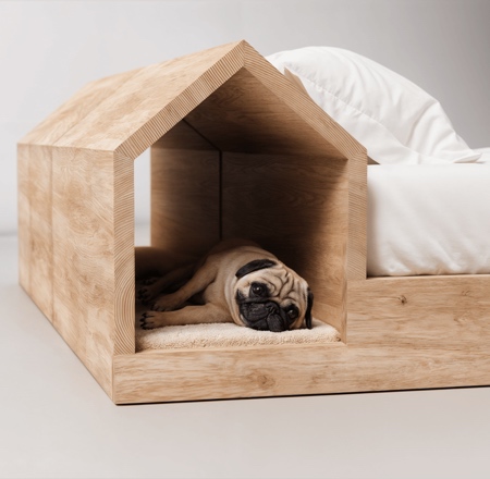 Dog Hut Bed