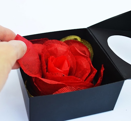 Petalo Rose Tea Packaging