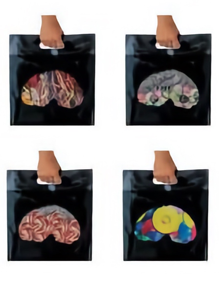 Brain Bag