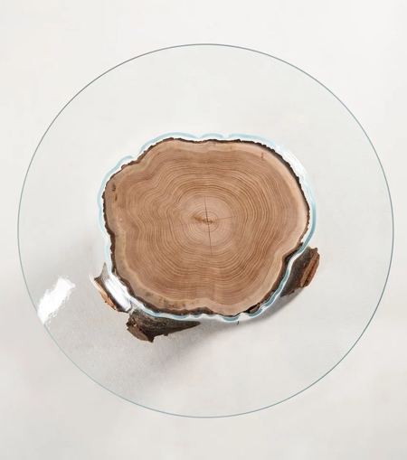 Tree Trunk Coffee Table
