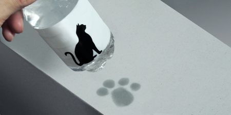 Cat Paw Water Bottle