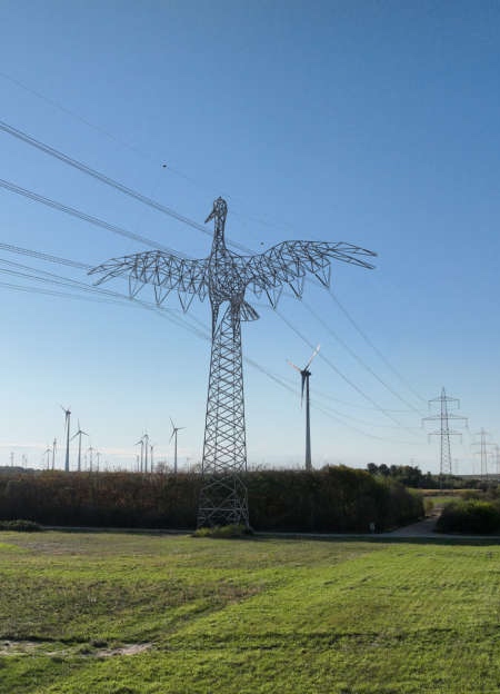Animal Power Lines Animal Power Lines