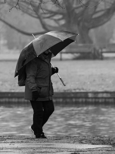 Man with Umbrella