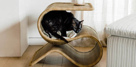 Cat Bed Snake Table