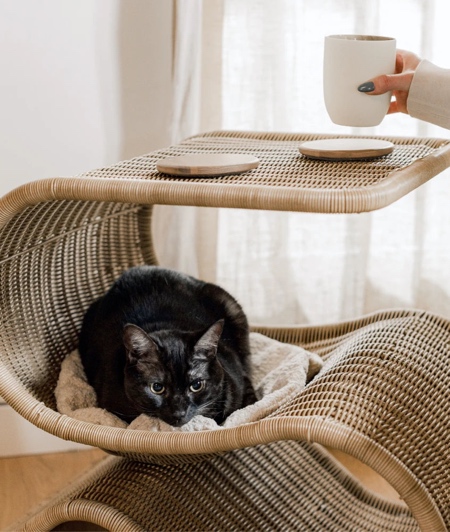 Cat Bed Snake Coffee Table