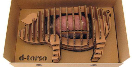 d-torso Pig Ham Packaging