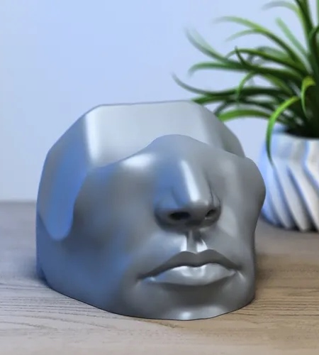 Face PS5 Controller Face PS5 Controller