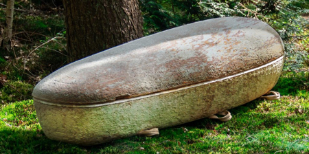 Coffin Made of Mushrooms Coffin Made of Mushrooms