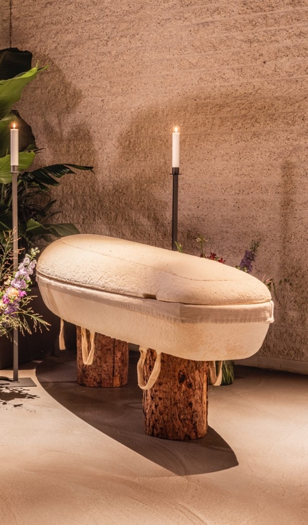 Mushroom Coffin Mushroom Coffin