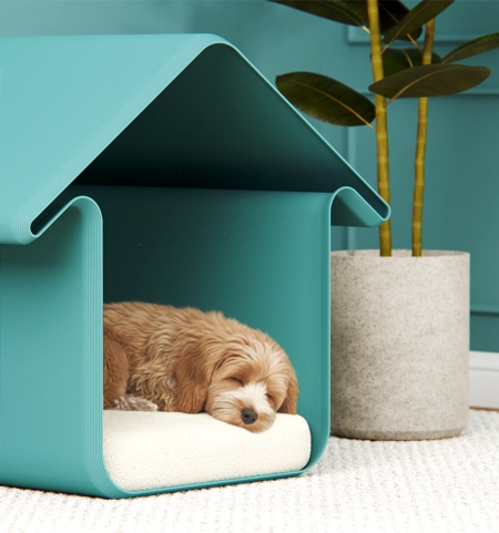 3D Printed Doghouse
