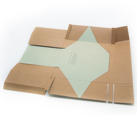 Diana Castaneda ENZO