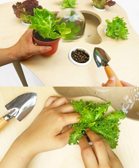 Horticultural Therapy Table