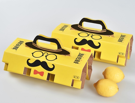 Beyond Brand Company Hi Lemon