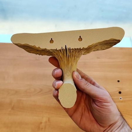 Mushroom Wall Shelf Mushroom Wall Shelf