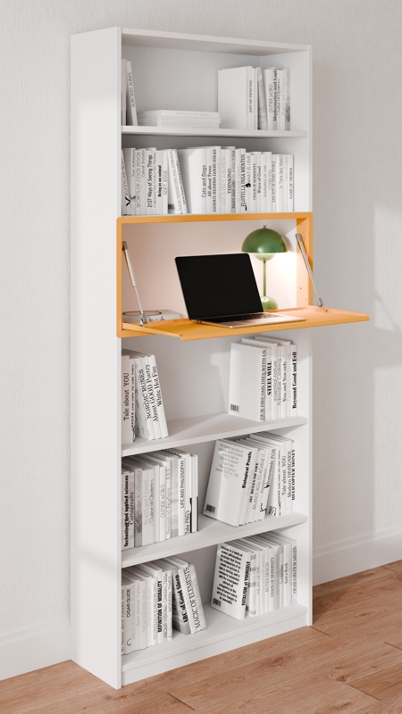 Michael Hilgers IKEA Desk