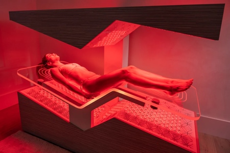 Ammortal Bed Ammortal Bed