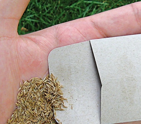 Seeds Business Card