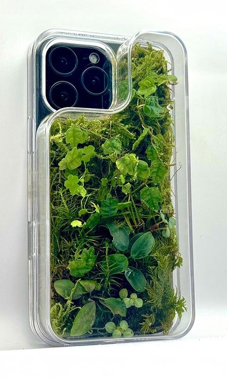 Terrarium iPhone Case by Daniel Idle