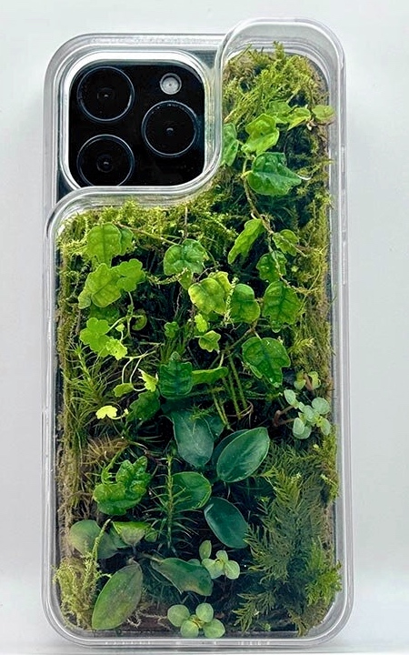 Daniel Idle Terrarium iPhone Case
