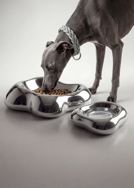 Dune Dog Bowl