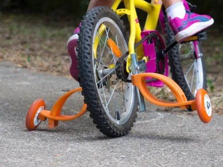 Flexible Training Wheels