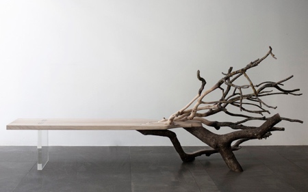 Tree Bench