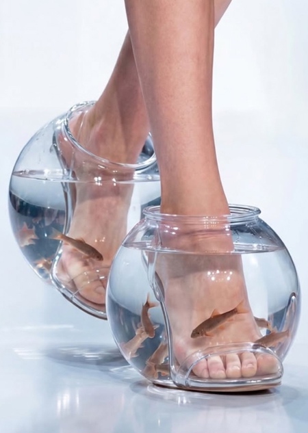 Fish Bowl Shoes Fish Bowl Shoes